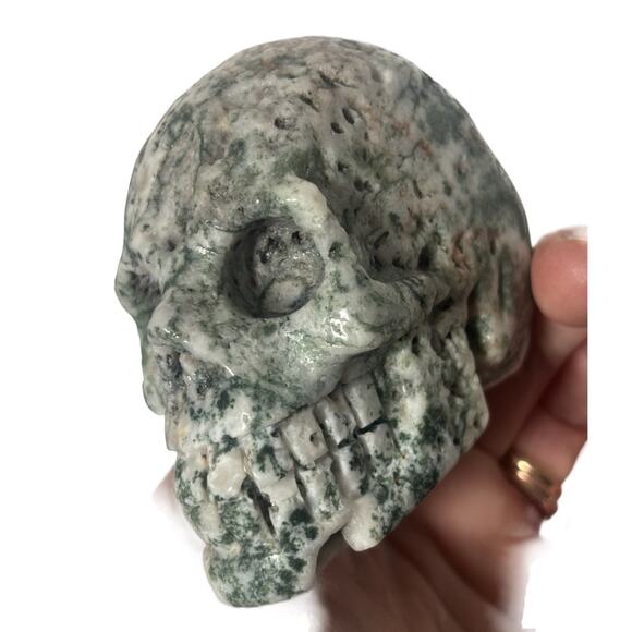 Natural Tree Agate Crystal Skull Head Carving Druzy Healing Stone Mineral - Picture 8 of 8